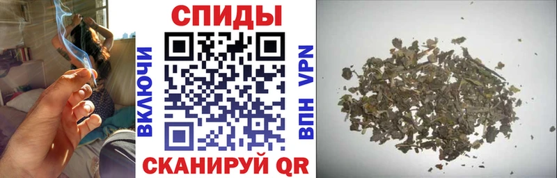 дарнет шоп Балаково БУТИРАТ буратино
