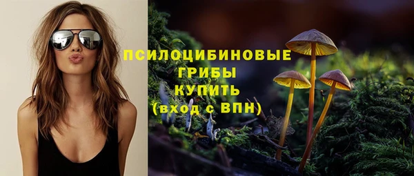 гидропоника Усинск