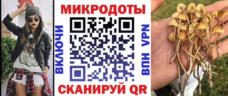 Псилоцибиновые грибы Cubensis  наркошоп  Балаково 