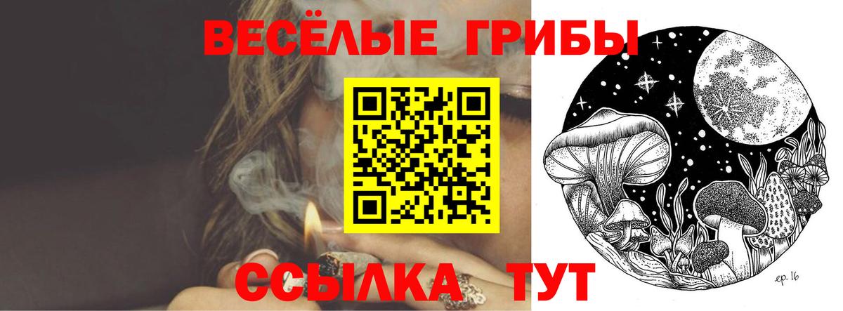 Псилоцибиновые грибы мицелий  Псилоцибиновые грибы Cubensis  Вход с VPN  Балаково 