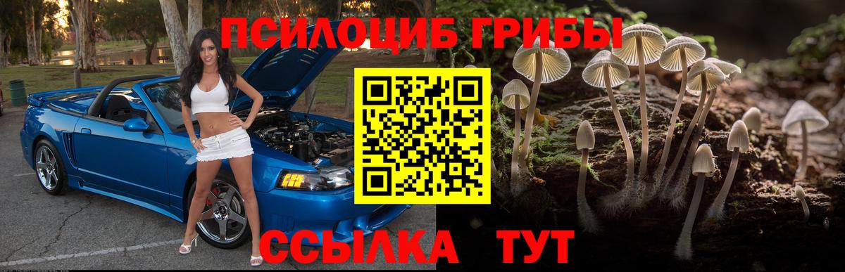 Псилоцибиновые грибы мицелий Балаково